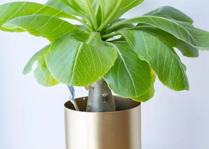 Prestige By Opera - Votre évasion Cosy à - Centre - Wifi - Bureau Appartement *